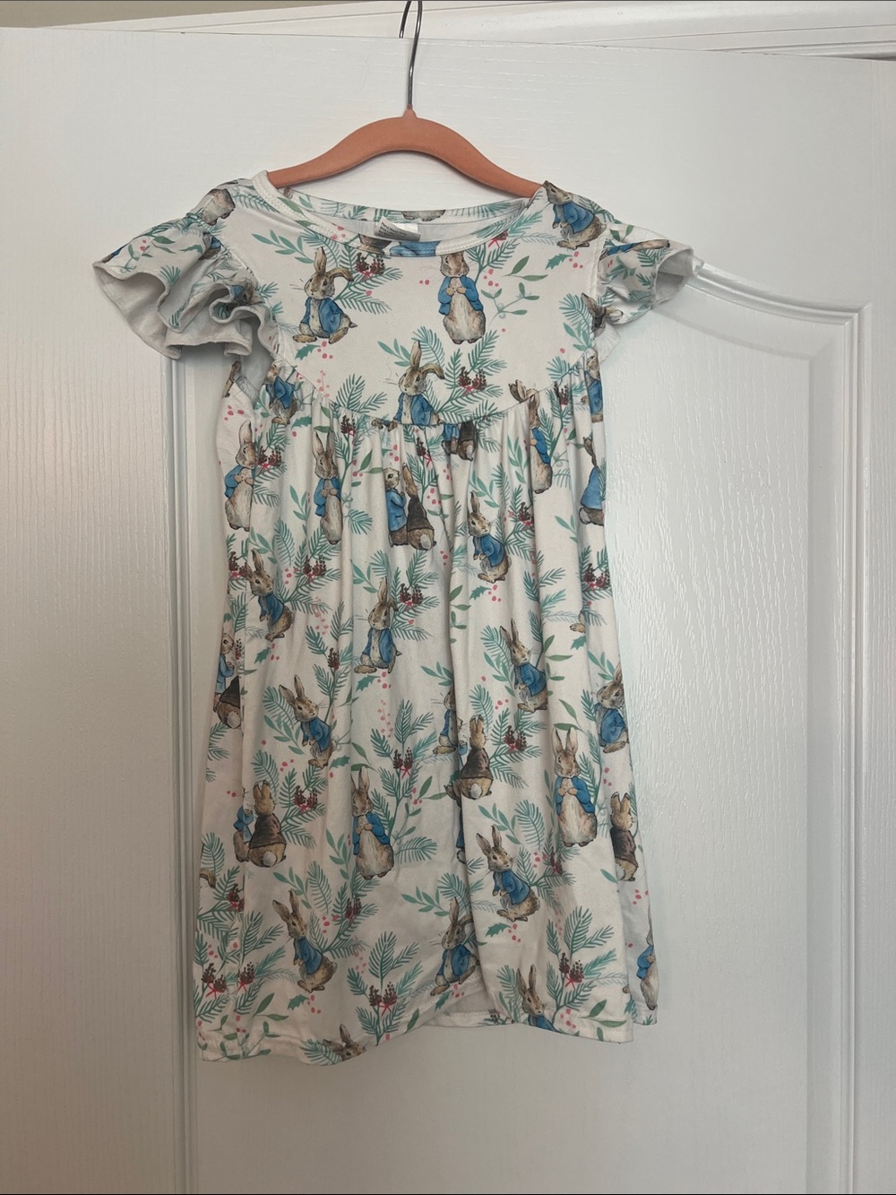 Peter Rabbit dress 5t